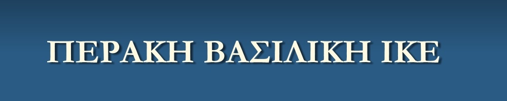 my Company